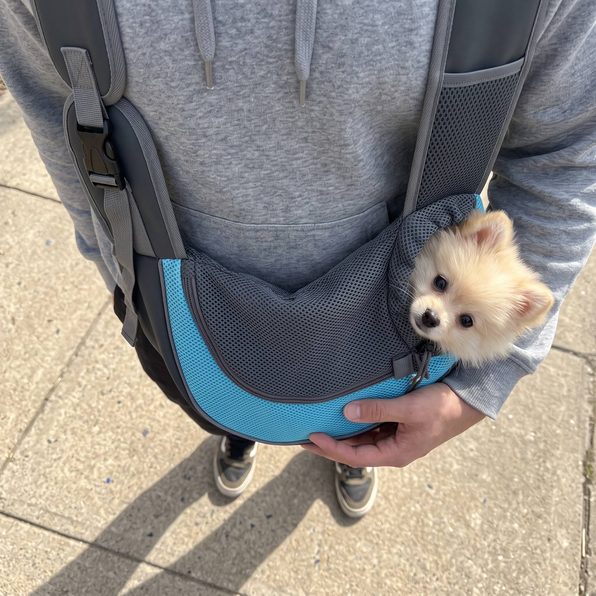 Overhead view of a Sky Blue sling with a cream Pomeranian on a pavement walk